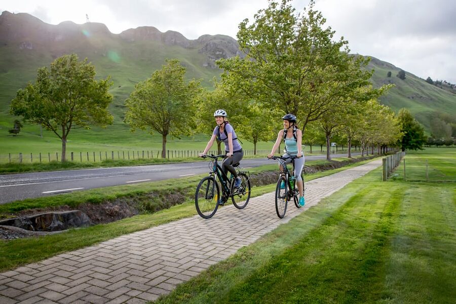 Napier: Cape Coast Winery Tour on E-Bikes - Askerne Winery: The Lunch Stop That Keeps You Flexible