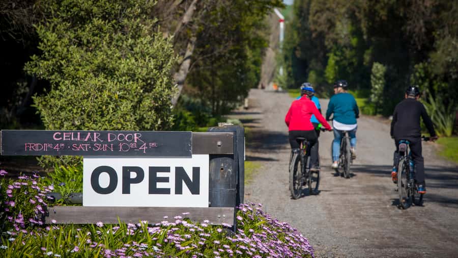 Napier: Cape Coast Winery Tour on E-Bikes - Black Barn Winery and Fig Alley: The Final Stretch With Style
