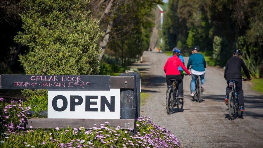 Napier: Cape Coast Winery Tour on Pedal or E-Bikes - The Tuki Tuki limestone trail and Askerne Winery lunch