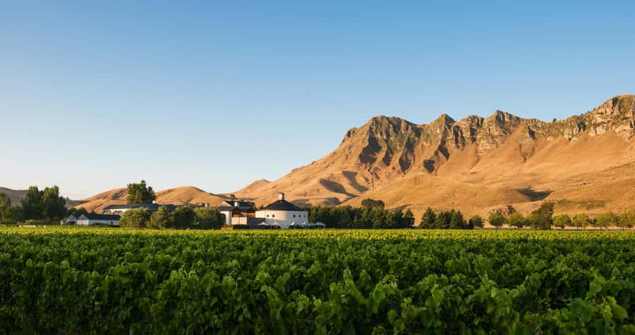 Napier Craggy Range Wine tour with Te Mata Peak summit views - Key highlights at a glance