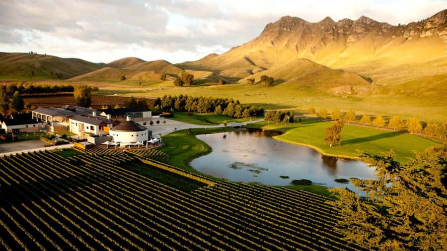 Napier Craggy Range Wine tour with Te Mata Peak summit views - Who this tour suits (and who should skip it)