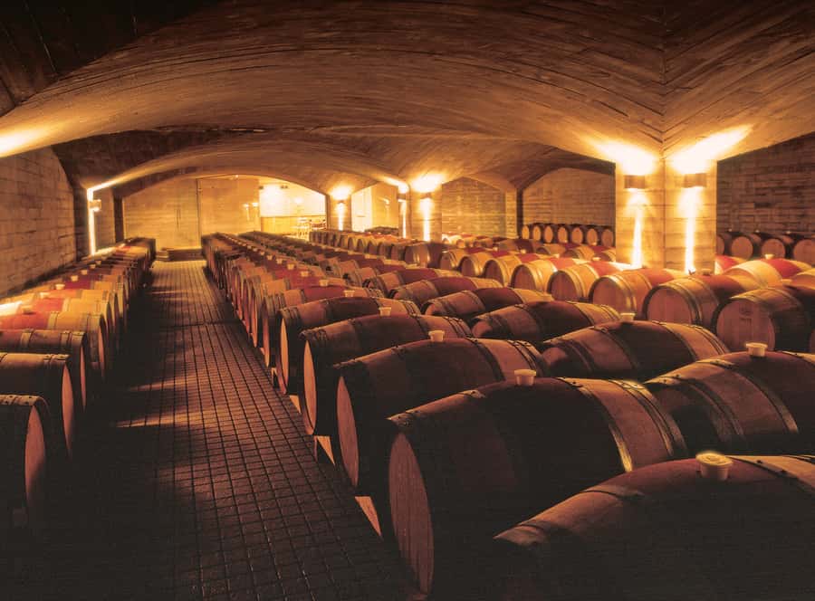 Napier Craggy Range Wine tour with Te Mata Peak summit views - Practical tips you’ll be glad you followed