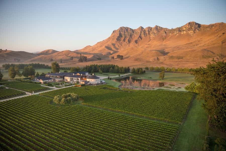 Napier Craggy Range Wine tour with Te Mata Peak summit views - Should you book the Napier Craggy Range and Te Mata Peak tour?