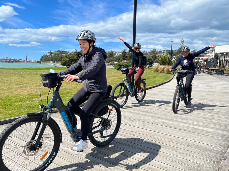 Napier: Cruise Self-Guided Cycle Ride to Winery - Half Day - Flat Cycle Trails Plus Real Winery Time