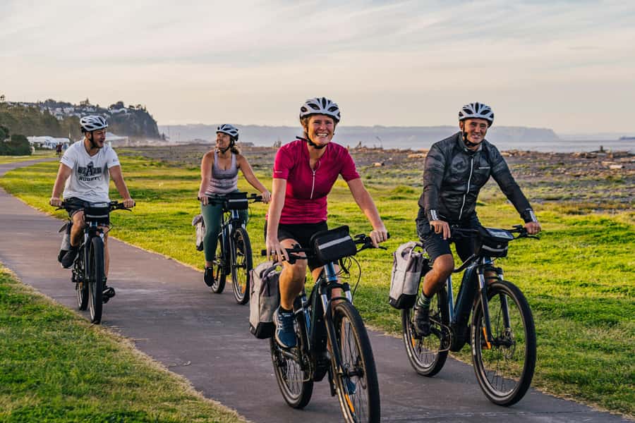 Napier: Cruise Self-Guided Cycle Ride to Winery - Half Day - Your Route Choice: 40km Loop vs 50km Coastal Return