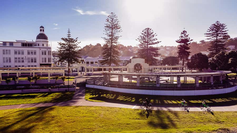 Napier: Cruise Self-Guided Cycle Ride to Winery - Half Day - The Bike Experience: Standard Push or E-Bike Comfort