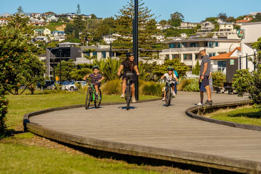 Napier: Cruise Self-Guided Cycle Ride to Winery - Half Day - Who This Ride Is Best For