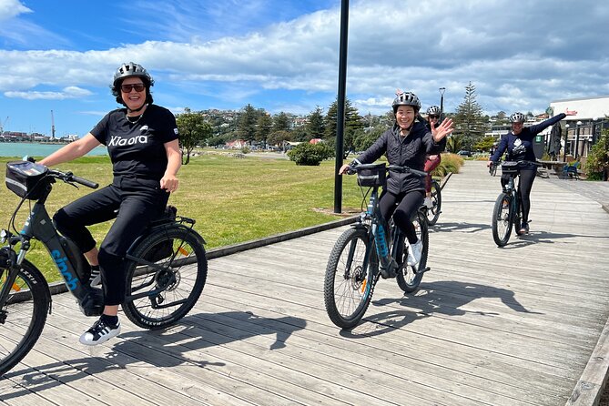 Napier: Cycle to Wineries - Half Day, self-guided - Quick hit: what makes this ride work