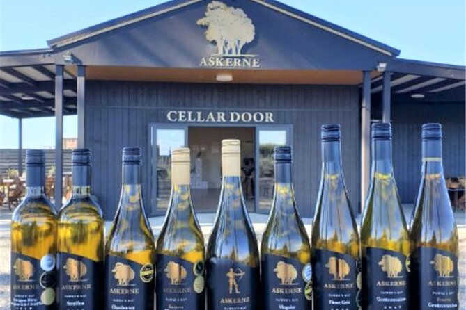 Napier Gourmet Winery Luncheon + tastings at 3 Great Wineries - Food, snacks, and the pairing rhythm (what to actually expect)