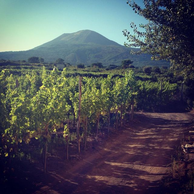 Naples: Mount Vesuvius Vineyard Tour w/ Lunch & Wine Tasting - Panoramic Vesuvius views: where the countryside becomes part of the tasting