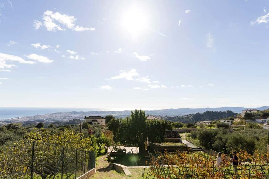 Near Malaga: Mijas Organic Vineyard, 5 Wines, 2 Oils & Tapas - Quick hits from Antonio’s Mijas vineyard