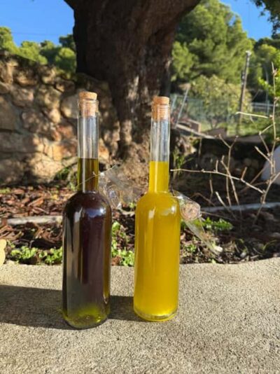 Near Malaga: Mijas Organic Vineyard, 5 Wines, 2 Oils & Tapas - Walking the vines with Antonio: the real work behind organic wine