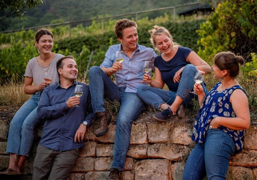 Neustadt: Wine tasting with cellar tour and vineyard visit - Why this Neustadt tasting feels worth your time