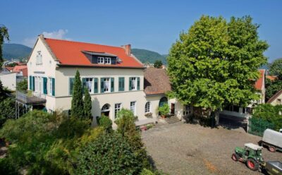 Neustadt: Wine tasting with cellar tour and vineyard visit - The tasting lineup: sparkling wine plus six wines (Riesling and Burgundy focus)