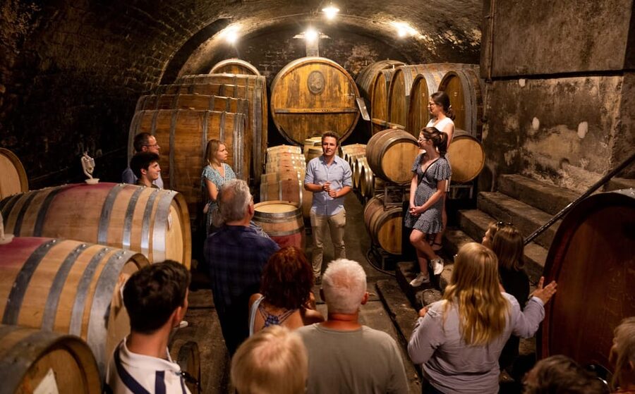 Neustadt: Wine tasting with cellar tour and vineyard visit - What the pacing feels like in real life (90 minutes, structured but not stiff)