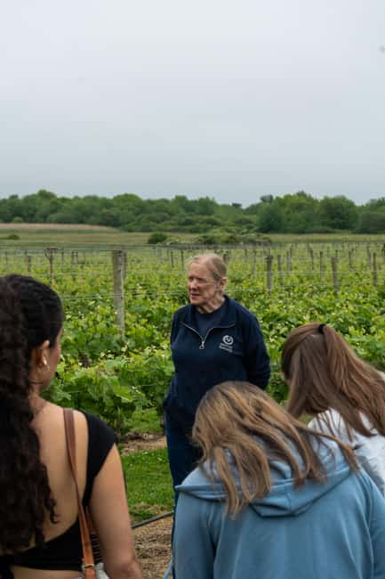 Newport: Vineyards Winery Tour + Tasting - Key Things That Make This Tour Worth Your Time