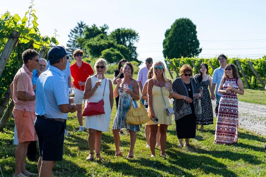 Newport: Vineyards Winery Tour + Tasting - Vineyard-to-Bottle: The Rhode Island Angle You Don’t Want to Miss