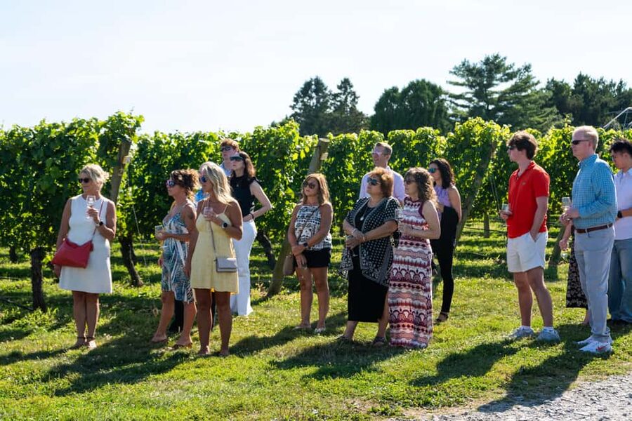 Newport: Vineyards Winery Tour + Tasting - Duration and Pacing: Why This Works Even for Tight Schedules