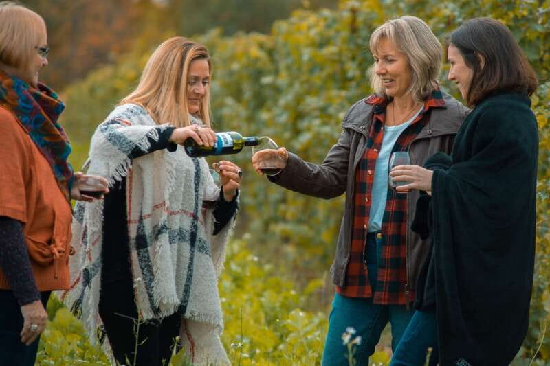 Niagara, Canada: Half-Day Winery Tour with Tastings - Key highlights you’ll actually use