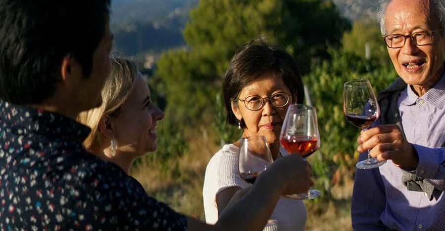 Nice: Vineyard Tour with Wine Tasting - Key Highlights You’ll Care About