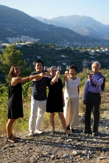 Nice: Vineyard Tour with Wine Tasting - The Vineyard Walk With Julia: Winds, Soil, and Grapes