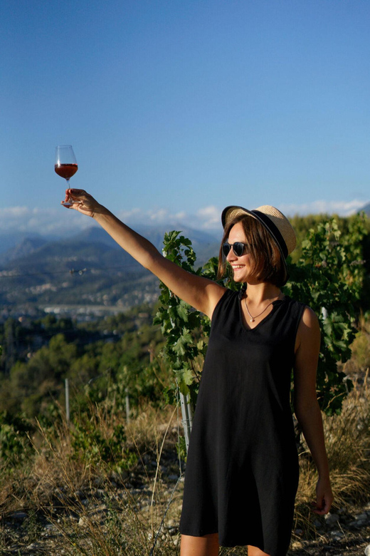 Nice: Vineyard Tour with Wine Tasting - Tasting 3 Wines With a Sommelier: What Changes the Flavor