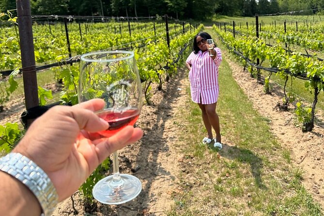 NON BUS Traverse Sunset Wine Tour 3 Winery Old Mission Peninsula - How to get the most from included samples (without wasting money)