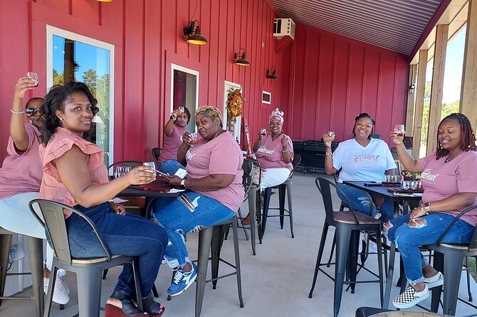 North Georgia Mountains Three Vineyard Wine Tasting Tour - Key things to know before you go