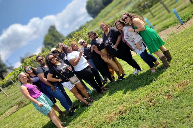 North Georgia Mountains Three Vineyard Wine Tasting Tour - Your 10-hour plan: start at 8:30 and hit 3 wineries