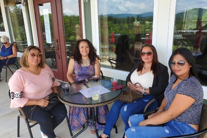 North Georgia Mountains TWO Vineyard Wine Tasting Tour - The Wine Itself: Dry vs Sweet, Plus the Fun Stuff