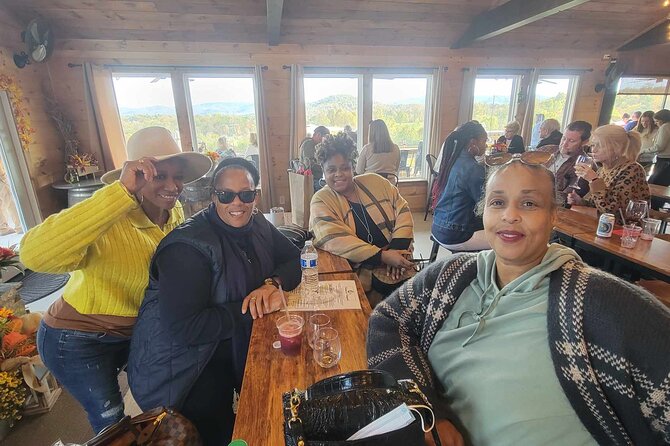 North Georgia Mountains TWO Vineyard Wine Tasting Tour - Price and Value: Does $139.20 Make Sense?