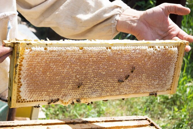Okanagan Bee Tour and Lunch at Winery in Kelowna - Meadow Vista Honey Wines: Your Kelowna Starting Point