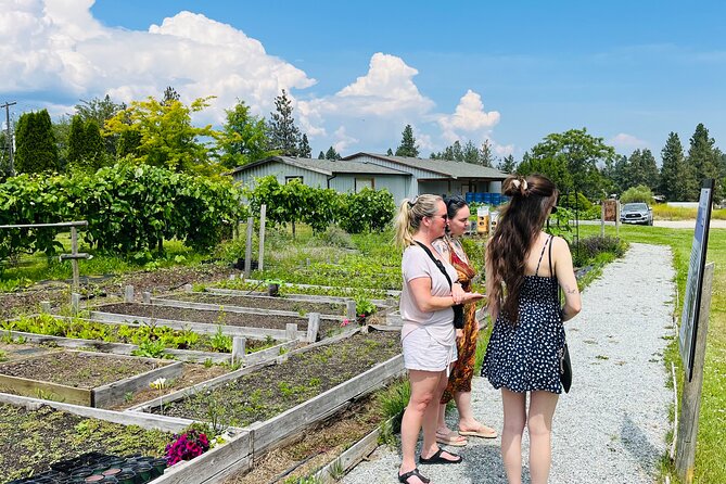 Okanagan Bee Tour and Lunch at Winery in Kelowna - Honey Sampling: Raw Unpasteurized Honey and Infused Varieties