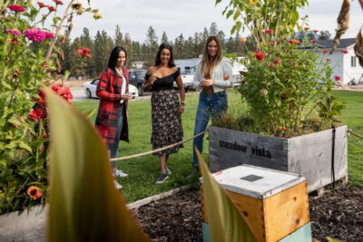 Okanagan Bee Tour, Wine Tasting and Lunch at Kelowna Winery - The 3-hour flow: bee tour, honey wine, raw honey, and lunch