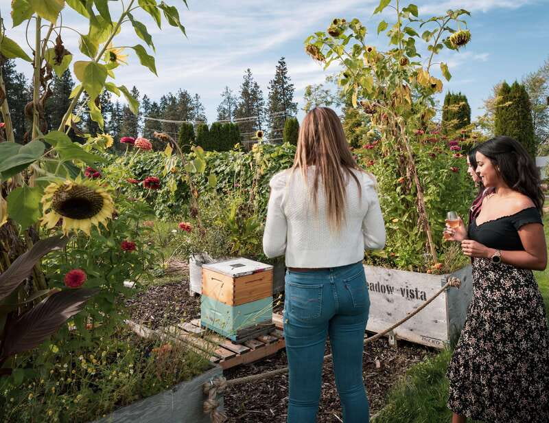 Okanagan Bee Tour, Wine Tasting and Lunch at Kelowna Winery - Price and value: is $50 a good deal?