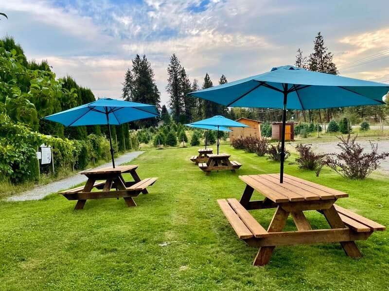 Okanagan Bee Tour, Wine Tasting and Lunch at Kelowna Winery - Who this tour is best for (and who might want to choose differently)