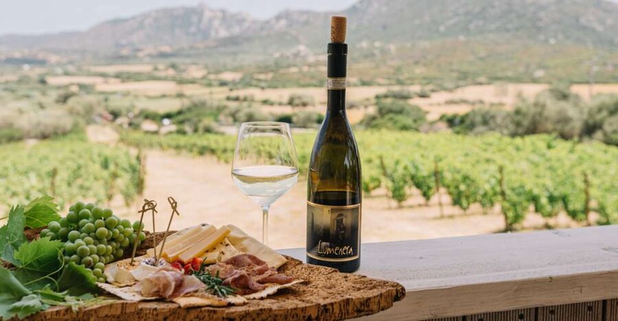 Olbia: Gallura Winery Guided Tour with Tasting - Key things to know before you go