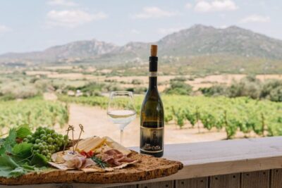 Olbia: Gallura Winery Guided Tour with Tasting - Vineyard Walk in Gallura: watching grapes become wine