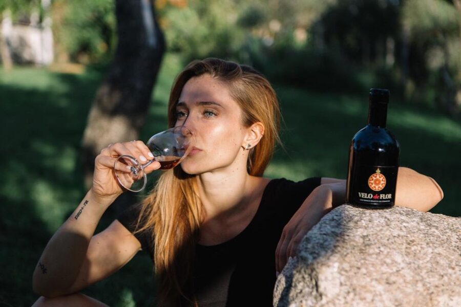 Olbia: Gallura Winery Guided Tour with Tasting - The tasting table: 3 local wines plus paired Sardinian appetizers
