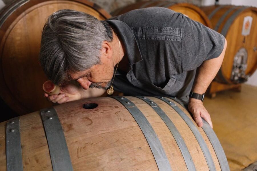 Olbia: Gallura Winery Guided Tour with Tasting - Price and value: is $61 for 1.5 hours actually fair?