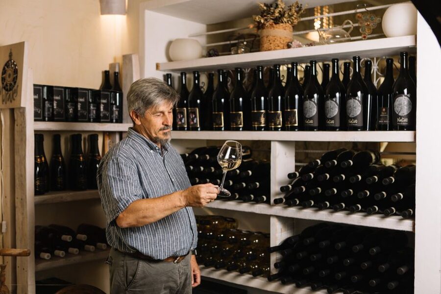 Olbia: Gallura Winery Guided Tour with Tasting - Who should book this Gallura winery tour (and who might not)