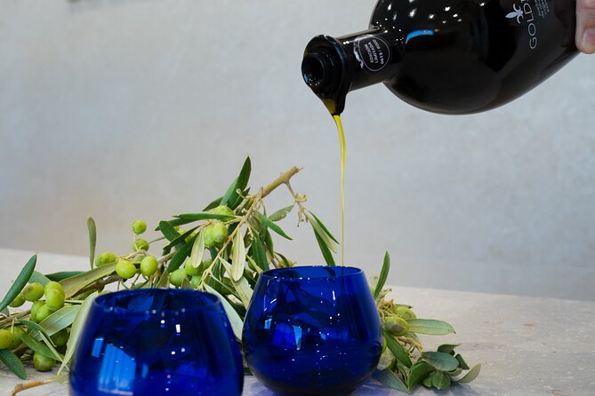 Olive Oil and Winery Tour from Zaragoza City - Key highlights you’ll care about