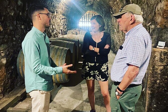 Olive Oil and Winery Tour from Zaragoza City - The guides make a real difference here