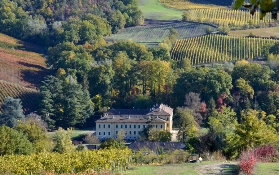 Oltrepò Pavese: Winery Tour and Wine Tasting outside Milan - The Tasting of 4 Traditional Wines and the Metodo Classico Focus