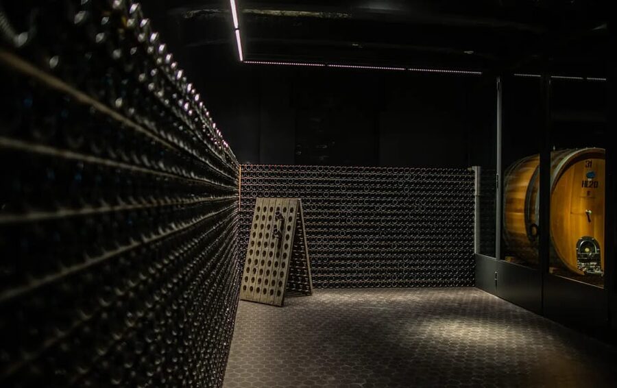 Oltrepò Pavese: Winery Tour and Wine Tasting outside Milan - Price and Value: Is About $47 Worth It?