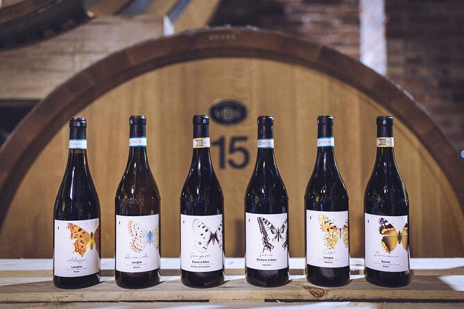 Organic Wine Tasting in the Langhe Hills – Vineyard & Cellar Tour - Where you meet Campàro in Diano d’Alba (and why it’s convenient)