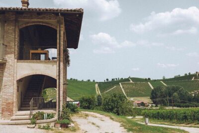 Organic Wine Tasting in the Langhe Hills – Vineyard & Cellar Tour - The vineyard walk: what organic farming looks like in real life