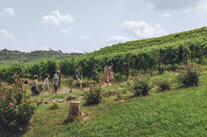 Organic Wine Tasting in the Langhe Hills – Vineyard & Cellar Tour - The five-wine tasting: Langhe DOC to Barolo DOCG