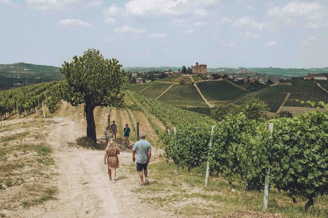 Organic Wine Tasting in the Langhe Hills – Vineyard & Cellar Tour - Pacing, group size, and the private-tour feel