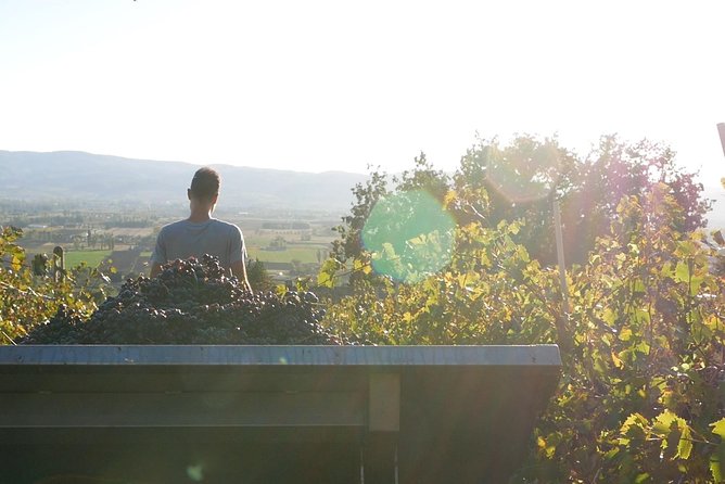 Organic Winery tour with Full Lunch from Assisi - Key highlights you’ll care about
